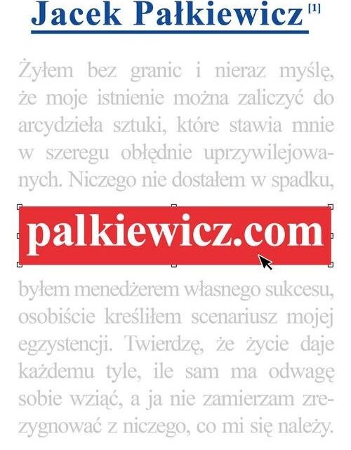 Palkiewicz.com – spotkanie z Autorem Palkiewicz.com – spotkanie z Autorem