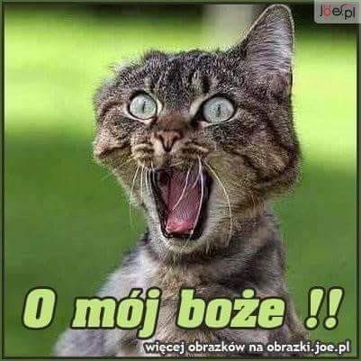 Trzy tygodnie… Trzy tygodnie…