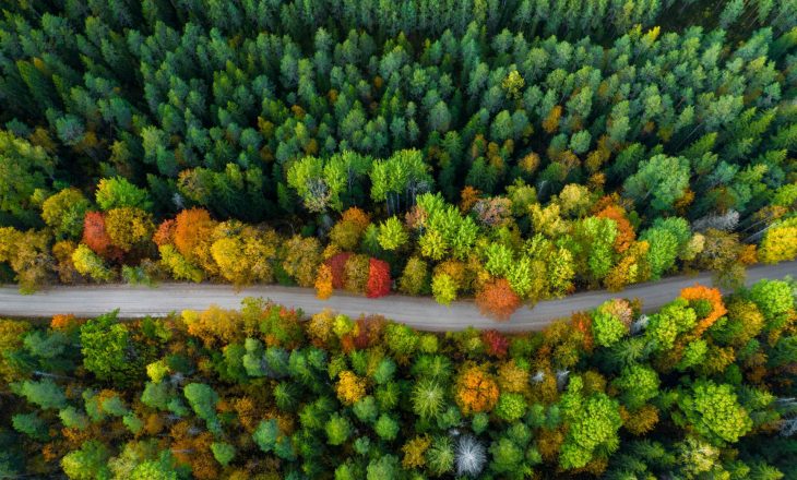 O zasadach LNT w “Naturalnie o zdrowiu” O zasadach LNT w “Naturalnie o zdrowiu”