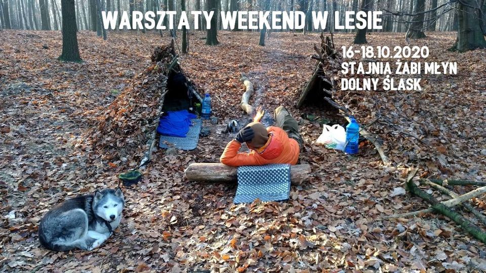 weekend w lesie, Grupa regionalna Śląsk Stowarzyszenie Polska Szkoła Surwiwalu, szkolenie survivalowe